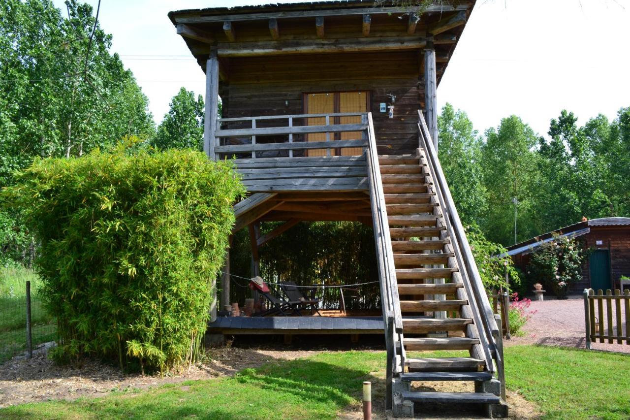 Maison D'Hotes La Chouanniere Bed & Breakfast Les Bois-d'Anjou Eksteriør bilde