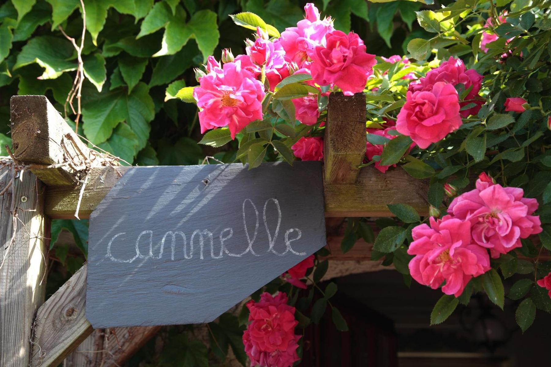 Maison D'Hotes La Chouanniere Bed & Breakfast Les Bois-d'Anjou Eksteriør bilde